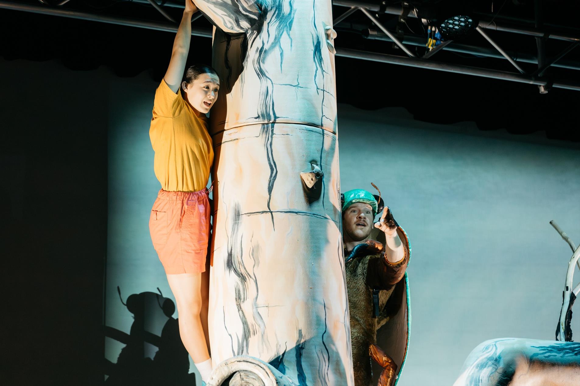 North Australian Festival Of Arts